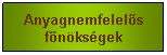 Sz�vegdoboz: Anyagnemfelel�s f�n�ks�gek

&nbsp;
