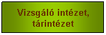 Sz�vegdoboz: Vizsg�l� int�zet, t�rint�zet

&nbsp;
